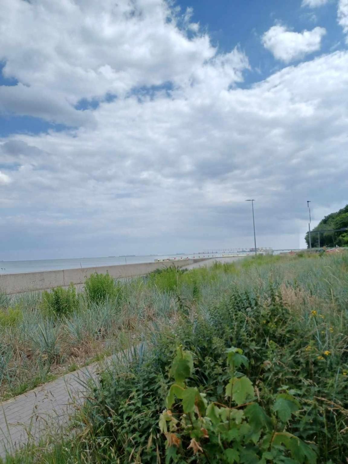 Domek Holenderski, Ogrod, Blisko Plazy, Gdynia Wakacje Na Luzie Buitenkant foto